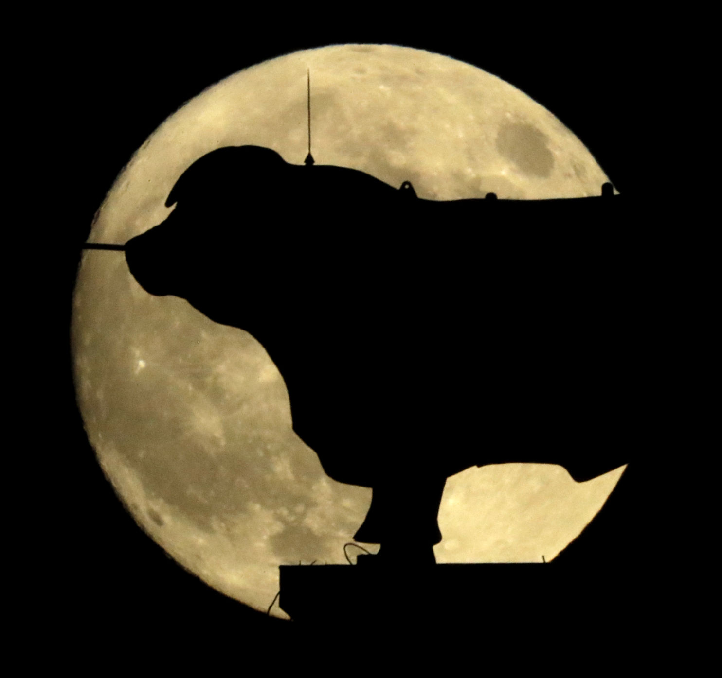 Supermoon Missouri